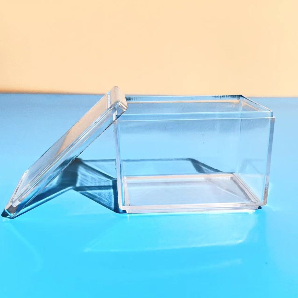 Mini Sneakers Vitrine transparente